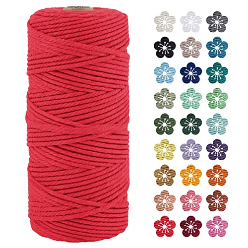 LEREATI Makramee Garn 3mm x 100m Rot Baumwollkordel Natur Baumwollseil Farbig Baumwollgarn, Macrame Cord 3mm für DIY Geflochten, Makramee Deko, Hängepflanze, Wandbehang, Vorhang LEREATI Makramee Garn 3mm x 100m Rot Baumwollkordel Natur Baumwollseil Farbig Baumwollgarn, Macrame Cord 3mm für DIY Geflochten, Makramee Deko, Hängepflanze, Wandbehang, Vorhang von LEREATI