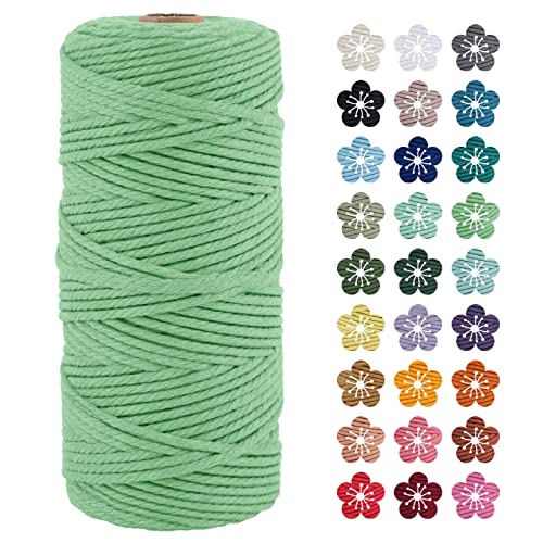LEREATI Makramee Garn 3mm x 100m Wassergrün Baumwollkordel Natur Baumwollseil Farbig Baumwollgarn, Macrame Cord 3mm für DIY Geflochten, Makramee Deko, Hängepflanze, Wandbehang, Vorhang LEREATI Makramee Garn 3mm x 100m Wassergrün Baumwollkordel Natur Baumwollseil Farbig Baumwollgarn, Macrame Cord 3mm für DIY Geflochten, Makramee Deko, Hängepflanze, Wandbehang, Vorhang von LEREATI