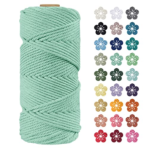 LEREATI Makramee Garn 4mm x 100m Hellgrün Baumwollkordel Natur Baumwollseil Farbig Baumwollgarn, Macrame Cord 4mm für DIY Geflochten, Makramee Deko, Hängepflanze, Wandbehang, Vorhang LEREATI Makramee Garn 4mm x 100m Hellgrün Baumwollkordel Natur Baumwollseil Farbig Baumwollgarn, Macrame Cord 4mm für DIY Geflochten, Makramee Deko, Hängepflanze, Wandbehang, Vorhang von LEREATI
