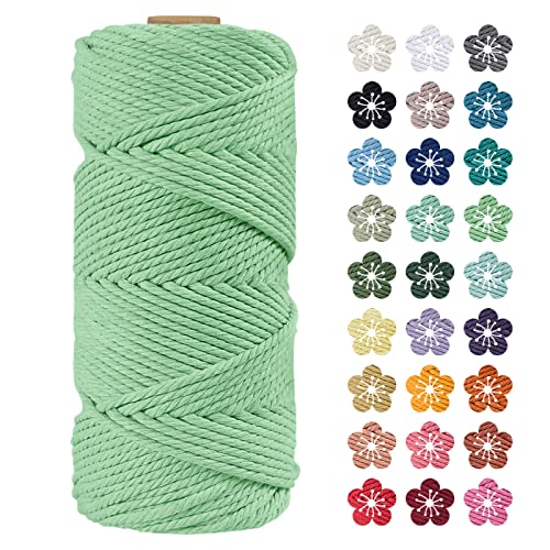 LEREATI Makramee Garn 4mm x 100m Wassergrün Baumwollkordel Natur Baumwollseil Farbig Baumwollgarn, Macrame Cord 4mm für DIY Geflochten, Makramee Deko, Hängepflanze, Wandbehang, Vorhang LEREATI Makramee Garn 4mm x 100m Wassergrün Baumwollkordel Natur Baumwollseil Farbig Baumwollgarn, Macrame Cord 4mm für DIY Geflochten, Makramee Deko, Hängepflanze, Wandbehang, Vorhang von LEREATI