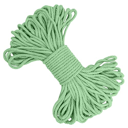 LEREATI Makramee Garn 5mm x 20m, Baumwollgarn Makramee-Schnur Farbig Baumwollkordel, Dicke Baumwollseil für Makramee Wandbehang, Hängepflanze, Traumfänger, Hochzeitsbogen (Aquagrün) von LEREATI