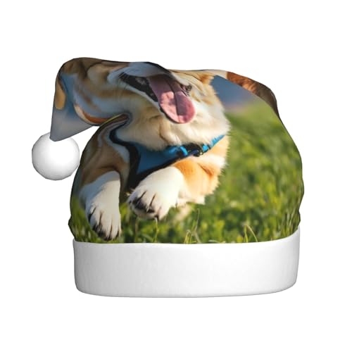LEVNDIEJ Niedliche Corgi-Weihnachtsmannmütze, Erwachsene, Weihnachtsmütze, Urlaub für Unisex, Weihnachtsmütze für Neujahrsparty von LEVNDIEJ