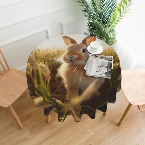 LEVNDIEJ Runde Tischdecke mit Meerschweinchen-Aufdruck, für drinnen und draußen, Picknick-Tischdecke, Küche, Terrasse, Party von LEVNDIEJ