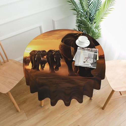 LEVNDIEJ Runde Tischdecke mit Natur-Elefanten-Druck, für drinnen und draußen, Picknick-Tischdecke, Küche, Terrasse, Party von LEVNDIEJ