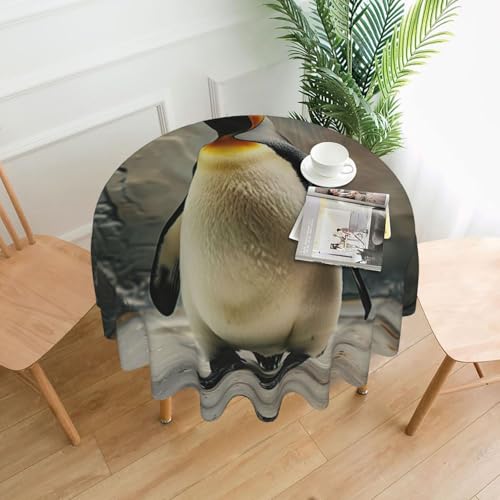 LEVNDIEJ Runde Tischdecke mit Pinguin-Druck, für drinnen und draußen, Picknick-Tischdecke, Küche, Terrasse, Party von LEVNDIEJ