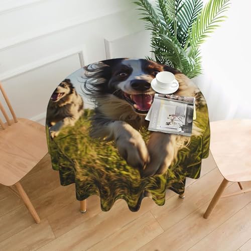 LEVNDIEJ Runde Tischdecke mit lustigem Hunde-Aufdruck, für drinnen und draußen, Picknick-Tischdecke, Küche, Terrasse, Party von LEVNDIEJ