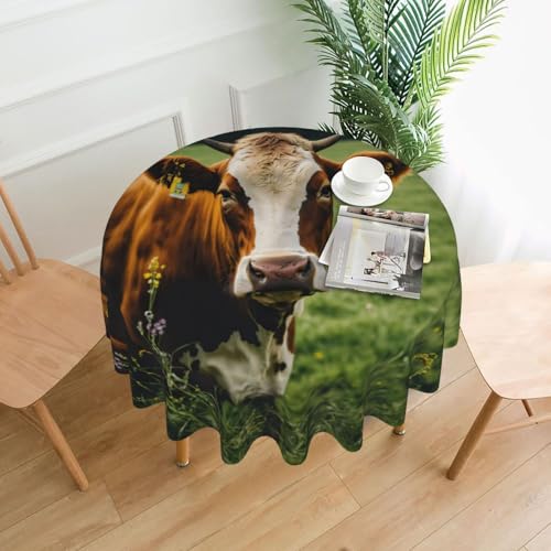 LEVNDIEJ Runde Tischdecke mit niedlichem Kuh-Druck, für drinnen und draußen, Picknick-Tischdecke, Küche, Terrasse, Party von LEVNDIEJ
