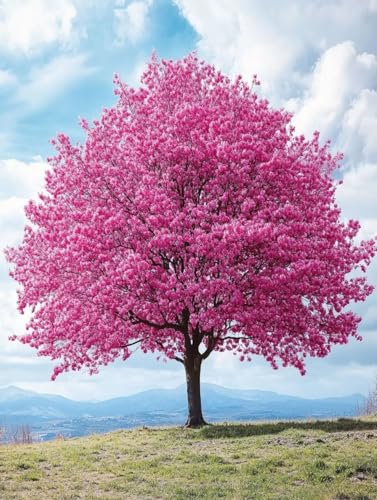 Landschaft Diamond Painting Erwachsene Kinder, Baum Diamant Painting Bilder Set, 5D Vollbohrer Kristall Stickerei Kreuzstich Basteln, Home Wand Deko Wohnzimmer, Geschenke für Frauen 50x70cm 7q-655 Landschaft Diamond Painting Erwachsene Kinder, Baum Diamant Painting Bilder Set, 5D Vollbohrer Kristall Stickerei Kreuzstich Basteln, Home Wand Deko Wohnzimmer, Geschenke für Frauen 50x70cm 7q-655 von LEYAUPGO