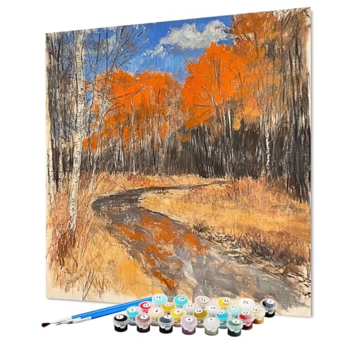 Malen Nach Zahlen Erwachsene Abstrakt, Malen Nach Zahlen Kunst, DIY Basteln Erwachsene Handgemalt Ölgemälde Set mit Pinsel und Acrylfarbe für Wand Deko, Geschenk für Frauen 60 x 80 cm (Model-0927) von LEYAUPGO