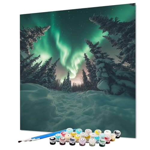 Malen Nach Zahlen Erwachsene Aurora Malen Nach Zahlen Winter Paint by Numbers mit Pinsel und Acrylfarben, DIY Bastelset Erwachsene Handgemalt Ölgemälde für Zimmer Deko Asthetik 70 x 95 cm (Model-0406) von LEYAUPGO