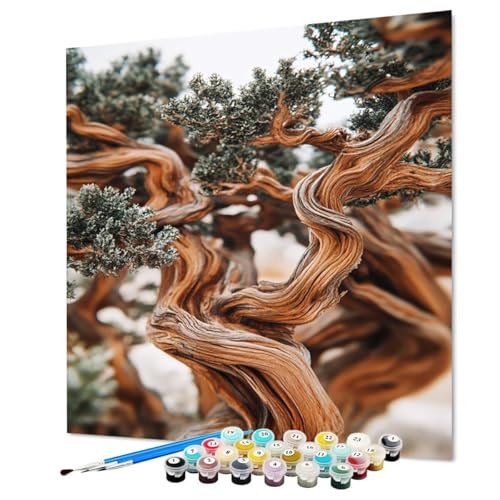 Malen Nach Zahlen Erwachsene Baum, Malen Nach Zahlen Pflanze, DIY Basteln Erwachsene Handgemalt Ölgemälde Set mit Pinsel und Acrylfarbe für Wand Deko, Geschenk für Frauen 80 x 110 cm (Model-0822) von LEYAUPGO