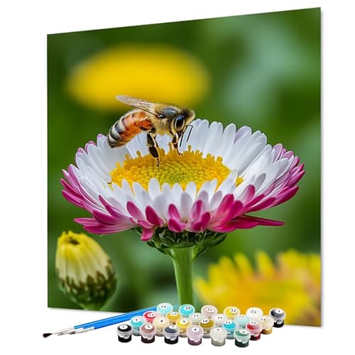 Malen Nach Zahlen Erwachsene Biene Malen Nach Zahlen Blume Paint by Numbers mit Pinsel und Acrylfarben, DIY Bastelset Erwachsene Handgemalt Ölgemälde für Zimmer Deko Asthetik 35 x 50 cm (Model-1069) Malen Nach Zahlen Erwachsene Biene Malen Nach Zahlen Blume Paint by Numbers mit Pinsel und Acrylfarben, DIY Bastelset Erwachsene Handgemalt Ölgemälde für Zimmer Deko Asthetik 35 x 50 cm (Model-1069) von LEYAUPGO