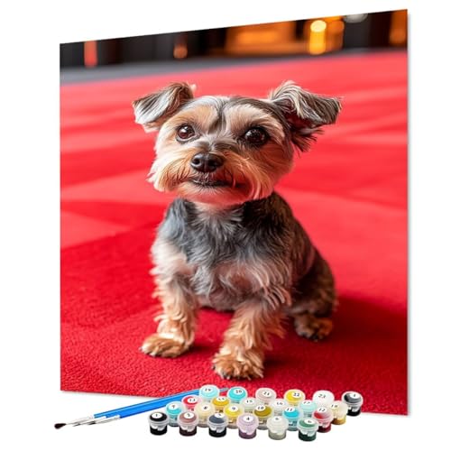 Malen Nach Zahlen Erwachsene Hund, Malen Nach Zahlen Tier, DIY Basteln Erwachsene Handgemalt Ölgemälde Set mit Pinsel und Acrylfarbe für Deko Wohnzimmer, Geschenk für Frauen 60 x 80 cm (Model-1470) von LEYAUPGO