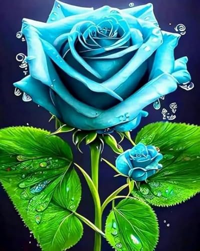 LEYIUYIU DIY vorgedrucktes Kreuzstich-Set 11CT Stickset für Kinder Erwachsene und Anfänger Wandkunst Heimdekoration – Blaue Rosen – 40x50cm LEYIUYIU DIY vorgedrucktes Kreuzstich-Set 11CT Stickset für Kinder Erwachsene und Anfänger Wandkunst Heimdekoration – Blaue Rosen – 40x50cm von LEYIUYIU