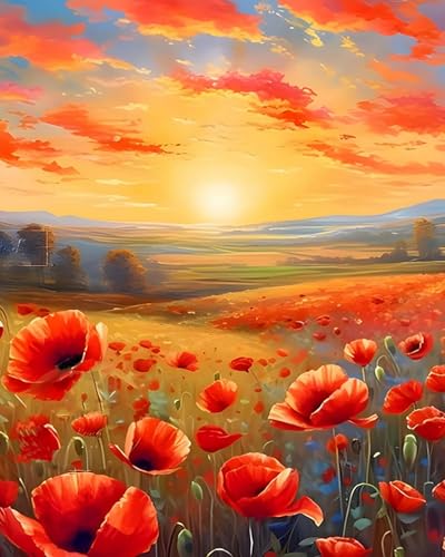LEYIUYIU DIY vorgedrucktes Kreuzstich-Set 11CT Stickset für Kinder Erwachsene und Anfänger Wandkunst Heimdekoration – Mohnblume – 40x50cm von LEYIUYIU
