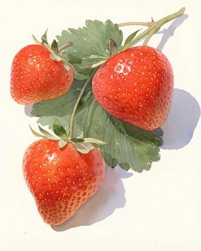 LEYIUYIU DIY vorgedrucktes Kreuzstich-Set 11CT Stickset für Kinder Erwachsene und Anfänger Wandkunst Heimdekoration – Obst und Erdbeeren – 40x50cm LEYIUYIU DIY vorgedrucktes Kreuzstich-Set 11CT Stickset für Kinder Erwachsene und Anfänger Wandkunst Heimdekoration – Obst und Erdbeeren – 40x50cm von LEYIUYIU