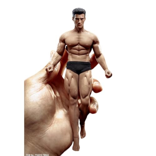 LFWDOCN 1/12 Scale ActionFigurn Body 6inch Mann Super-Flexible Seamless Strong Muscle Man militär Body Doll Full Set Toys Collection (Pale Muscle) von LFWDOCN