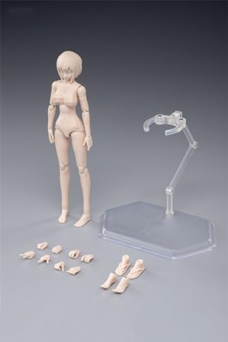 LFWDOCN 1/12 Scale Female Body,6inch Female Joint Flexible Action Figure Body with Head Sculpt&Stand Collection (Pale Skin, Big Bust) von LFWDOCN