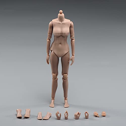 LFWDOCN 1/12 Scale Female Figure Body,6inch Female Joint Flexible Suntan Skin Action Figure Body Collectible (Little Bust) von LFWDOCN