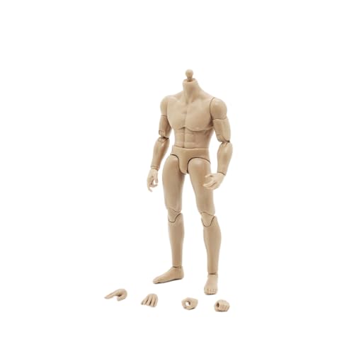 LFWDOCN 1/12 Scale Male Body,6inch Male Joint Flexible Soldier Miniature Action Figure Body Collectible (2pcs Waist) von LFWDOCN