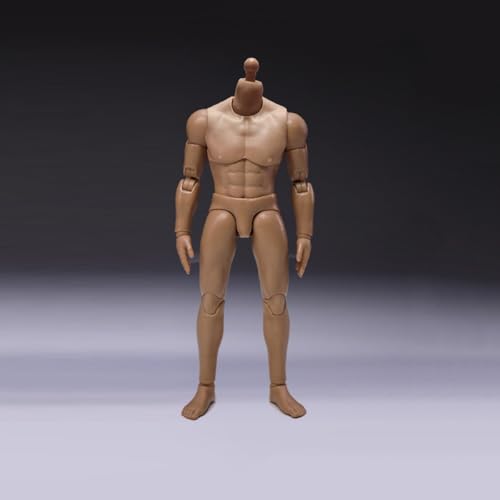 LFWDOCN 1/12 Scale Mann ActionFigurn Body Miniature Figur Collectible Without Kopf 6inch Men's Flexible militär Muscle Body with Replace Hands Feet(CH001A) von LFWDOCN