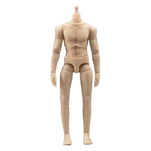 LFWDOCN 1/12 Scale Mann militär Body 6inch Mann Joint Flexible Strong Muscular ActionFigurn Body Collectible (Normal Skin) von LFWDOCN