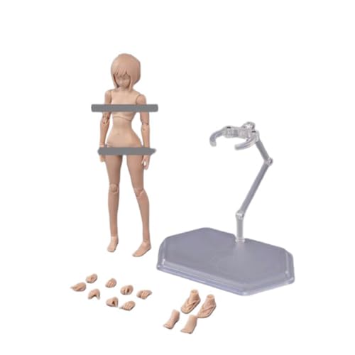 LFWDOCN 1/12 Scale weiblich ActionFigurn Body Miniature Figur Collectible 6inch Super Flexible Joint militär Figur Body with Kopf&Bracket(Suntan Skin Large Bust) von LFWDOCN