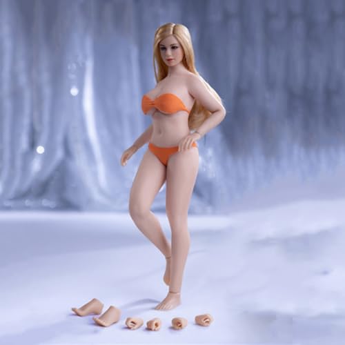 LFWDOCN 1/12 Scale weiblich ActionFigurn Body PLMB2022 Miniature Figur Collectible 6inch Super-Flexible Slightly Fat militär Figur Body with Kopf(T05A Large Chest Pale Skin) von LFWDOCN