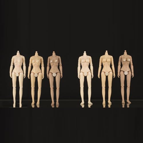 LFWDOCN 1/12 Scale weiblich militär Body 6inch weiblich Joint Flexible ActionFigurn Body Half Pack Adhesive Collection (Large Bust Suntan Skin) von LFWDOCN