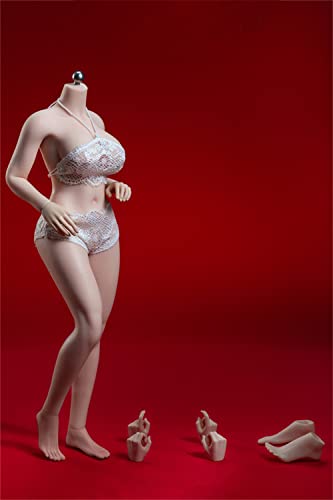 LFWDOCN 1/6 Scale Female Body,12 Inch Super Flexible Large Breast Plus Size Female Seamless Action Figure Body Collection (S38A Pale Skin No Head) von LFWDOCN