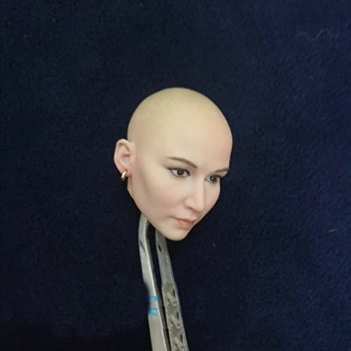 LFWDOCN 1/6 Scale Female Head Sculpt, Beauty Female Pale Skin Bald Head Carved for 12 Inch Seamless Action Figure Body (A) von LFWDOCN