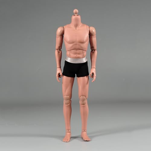 LFWDOCN 1/6 Scale Mann ActionFigurn Asian Narrow Shoulders Body Miniature Figur Collectible Without Kopf 12inch Men's Flexible militär Muscle Durable Body(AT011) von LFWDOCN