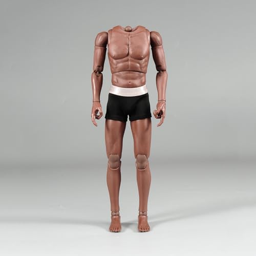 LFWDOCN 1/6 Scale Mann ActionFigurn Asian Narrow Shoulders Body Miniature Figur Collectible Without Kopf 12inch Men's Flexible militär Muscle Durable Body(AT032) von LFWDOCN