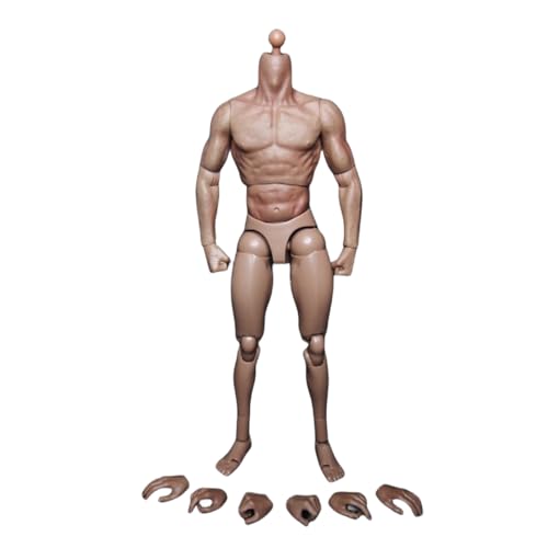 LFWDOCN 1/6 Scale Mann militär Muscular Body Model 12 inch Europe Skin Mann Flexible ActionFigurn Body MX02-A/B Collectible Without Kopf (Brown S001) von LFWDOCN