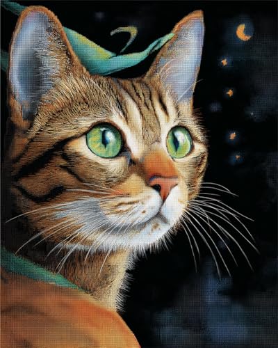 LFYNIORS Kreuzstich Set Kinder Fantasie Katze Tier 14Ct Diy Vorgedruckt Stickbilder Stickset Handwerk Home Decor Starter-Set Für Wandkunst-Heimdekoration 40x50cm von LFYNIORS