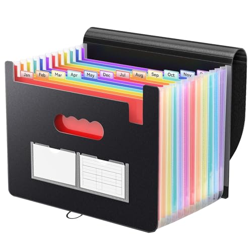 LGDNNYYY Fächermappe mit 13 Fächern, mit leeren Etiketten, Aktenordner mit erweiterbarem Deckel, Schreibtisch-Akkordeon-Ordner, Brief-A4-Papier-Dokumenten-Organizer, Schwarz von LGDNNYYY