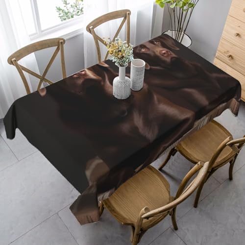 LHDGBNV Braune Labrador-Retriever-Tischdecken für rechteckige Tische, flecken- und knitterfrei, waschbar, moderne Küchentischdecke für Küche, Esszimmer, Picknick, Party-Dekoration, 140 x 89 cm von LHDGBNV