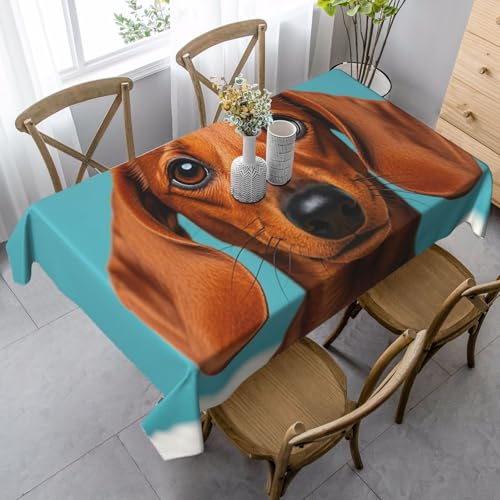 LHDGBNV Dackel-Hunde-Tischdecken für rechteckige Tische, flecken- und knitterfrei, waschbar, moderne Küchentischdecke für Küche, Esszimmer, Picknick, Party-Dekoration, 140 x 89 cm LHDGBNV Dackel-Hunde-Tischdecken für rechteckige Tische, flecken- und knitterfrei, waschbar, moderne Küchentischdecke für Küche, Esszimmer, Picknick, Party-Dekoration, 140 x 89 cm von LHDGBNV