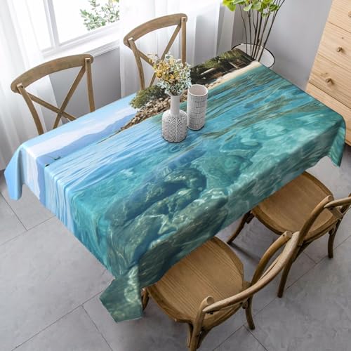 LHDGBNV Fidschi-Insel-Tischdecken für rechteckige Tische, flecken- und knitterfrei, waschbar, moderne Küchentischdecke für Küche, Esszimmer, Picknick, Party-Dekoration, 140 x 89 cm LHDGBNV Fidschi-Insel-Tischdecken für rechteckige Tische, flecken- und knitterfrei, waschbar, moderne Küchentischdecke für Küche, Esszimmer, Picknick, Party-Dekoration, 140 x 89 cm von LHDGBNV