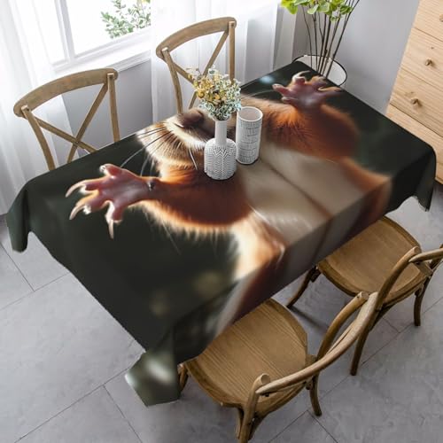 LHDGBNV Lustige Eichhörnchen-Tischdecken für rechteckige Tische, flecken- und knitterfrei, waschbar, moderne Küchentischdecke für Küche, Esszimmer, Picknick, Party-Dekoration, 140 x 89 cm LHDGBNV Lustige Eichhörnchen-Tischdecken für rechteckige Tische, flecken- und knitterfrei, waschbar, moderne Küchentischdecke für Küche, Esszimmer, Picknick, Party-Dekoration, 140 x 89 cm von LHDGBNV