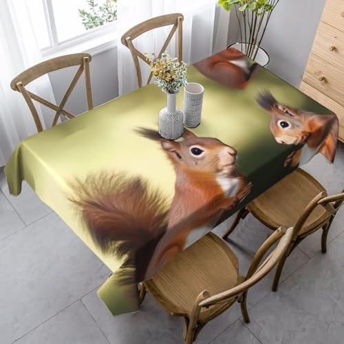 LHDGBNV Niedliche Eichhörnchen-Tischdecken für rechteckige Tische, flecken- und knitterfrei, waschbar, moderne Küchentischdecke für Küche, Esszimmer, Picknick, Party-Dekoration, 140 x 89 cm LHDGBNV Niedliche Eichhörnchen-Tischdecken für rechteckige Tische, flecken- und knitterfrei, waschbar, moderne Küchentischdecke für Küche, Esszimmer, Picknick, Party-Dekoration, 140 x 89 cm von LHDGBNV