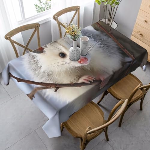 LHDGBNV Opossum in Snow Tischdecken für rechteckige Tische, flecken- und knitterfrei, waschbare Tischdecke, moderne Küchentischdecke für Küche, Esszimmer, Picknick, Party-Dekoration, 140 x 89 cm LHDGBNV Opossum in Snow Tischdecken für rechteckige Tische, flecken- und knitterfrei, waschbare Tischdecke, moderne Küchentischdecke für Küche, Esszimmer, Picknick, Party-Dekoration, 140 x 89 cm von LHDGBNV
