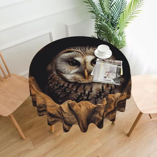 LHDGBNV Runde Tischdecken mit Eulenloch, 152,4 cm, wasserdicht, flecken- und knitterfrei, runde Tischdecke, Bauernhaus-Tischdecke für Picknick, Party, Esszimmer, Zuhause, Innen- und Außenbereich LHDGBNV Runde Tischdecken mit Eulenloch, 152,4 cm, wasserdicht, flecken- und knitterfrei, runde Tischdecke, Bauernhaus-Tischdecke für Picknick, Party, Esszimmer, Zuhause, Innen- und Außenbereich von LHDGBNV