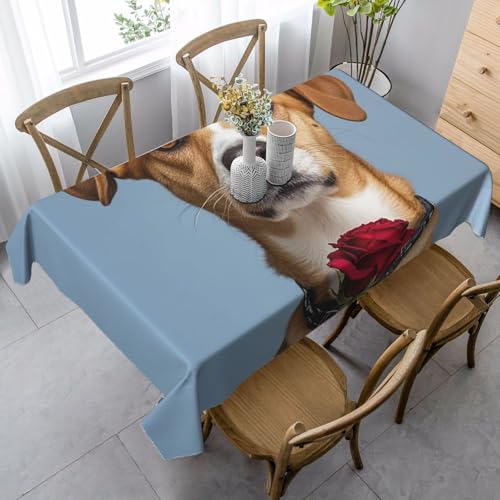 LHDGBNV Tischdecke für rechteckige Tische, flecken- und knitterfrei, waschbar, moderne Küchentischdecke für Küche, Esszimmer, Picknick, Party, Dekoration, 140 x 89 cm LHDGBNV Tischdecke für rechteckige Tische, flecken- und knitterfrei, waschbar, moderne Küchentischdecke für Küche, Esszimmer, Picknick, Party, Dekoration, 140 x 89 cm von LHDGBNV