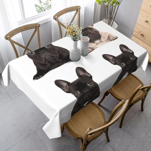 LHDGBNV Tischdecke mit französischer Bulldogge für rechteckige Tische, flecken- und knitterfrei, waschbar, moderne Küchentischdecke für Küche, Esszimmer, Picknick, Party-Dekoration, 140 x 89 cm LHDGBNV Tischdecke mit französischer Bulldogge für rechteckige Tische, flecken- und knitterfrei, waschbar, moderne Küchentischdecke für Küche, Esszimmer, Picknick, Party-Dekoration, 140 x 89 cm von LHDGBNV
