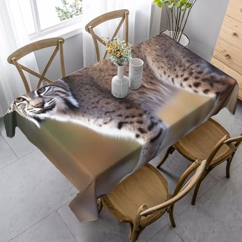 LHDGBNV Wild Bobcat Tischdecken für rechteckige Tische, flecken- und knitterfrei, waschbar, moderne Küchentischdecke für Küche, Esszimmer, Picknick, Party-Dekoration, 140 x 89 cm LHDGBNV Wild Bobcat Tischdecken für rechteckige Tische, flecken- und knitterfrei, waschbar, moderne Küchentischdecke für Küche, Esszimmer, Picknick, Party-Dekoration, 140 x 89 cm von LHDGBNV
