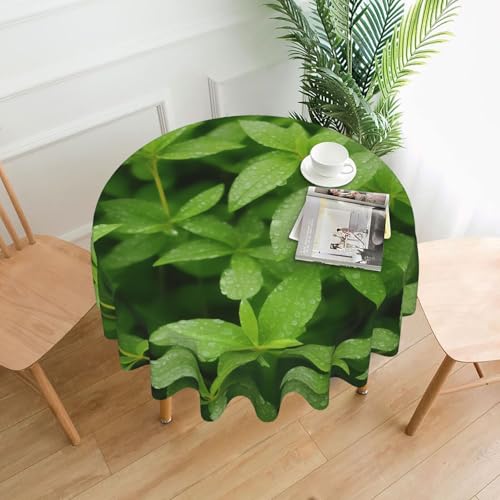LHFIOHIRG (Blatt mit Regen) Runde Tischdecke, 152 cm, knitterfrei, waschbar, Tischdecke für Küche, Esszimmer, Urlaub, Party, Picknick von LHFIOHIRG