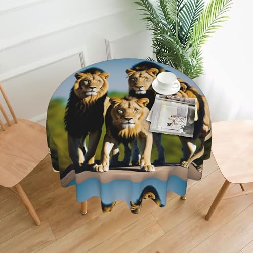 LHFIOHIRG (Eine Packung Löwen) Runde Tischdecke, 152 cm, knitterfrei, waschbar, Tischdecke für Küche, Esszimmer, Urlaub, Party, Picknick von LHFIOHIRG