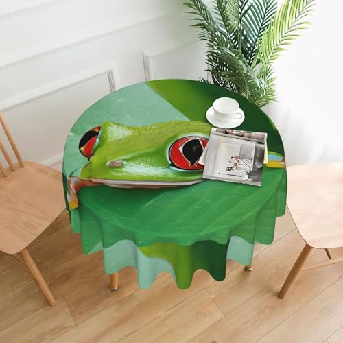 LHFIOHIRG (Tree Frog Baby) Runde Tischdecke, 152 cm, knitterfrei, waschbar, Tischdecke für Küche, Esszimmer, Urlaub, Party, Picknick von LHFIOHIRG