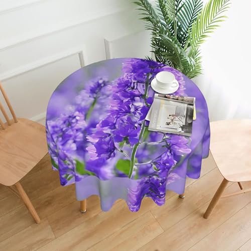 LHFIOHIRG Runde Tischdecke, violett, Lavendelfarben, 152 cm, knitterfrei, waschbar, Tischdecke für Küche, Esszimmer, Urlaub, Party, Picknick LHFIOHIRG Runde Tischdecke, violett, Lavendelfarben, 152 cm, knitterfrei, waschbar, Tischdecke für Küche, Esszimmer, Urlaub, Party, Picknick von LHFIOHIRG